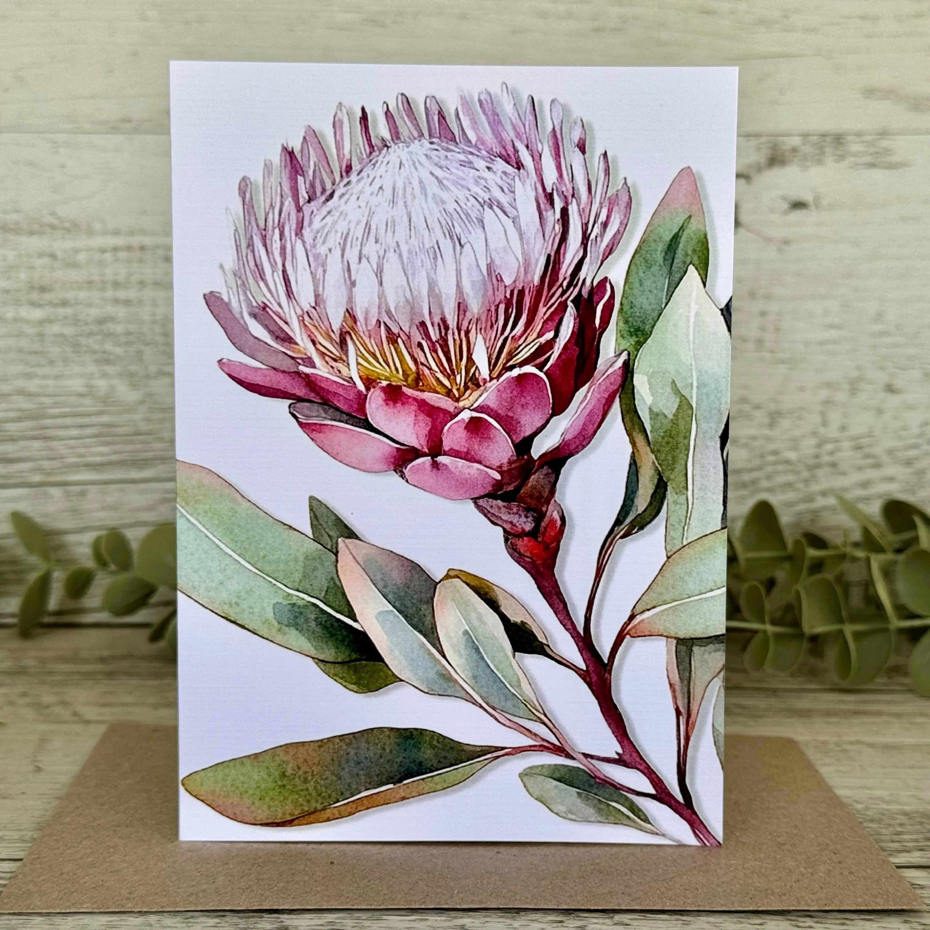 AUSTRALIAN FLORAL Blank greeting card - Single Stem Protea - Image 2
