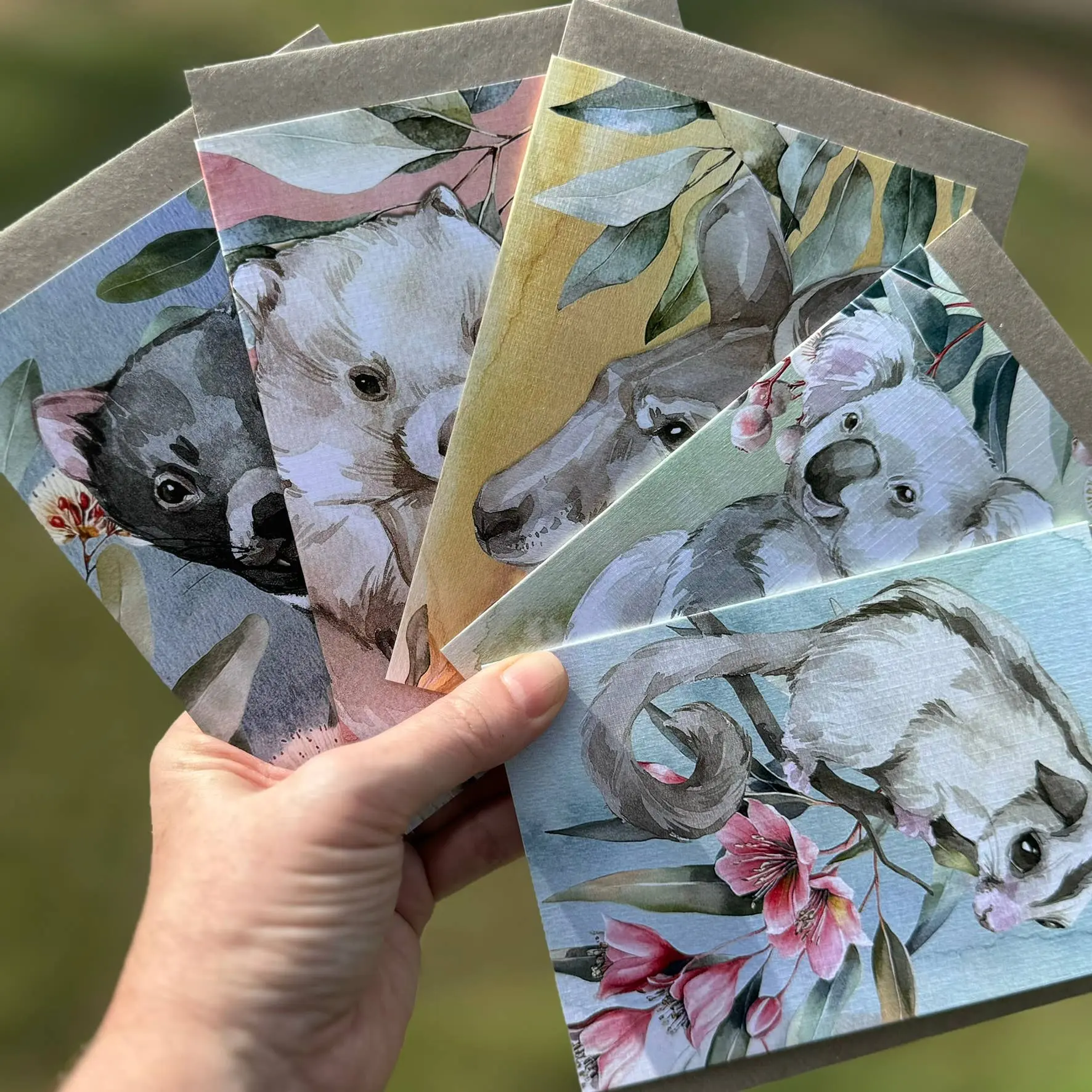 Australian Watercolour Koala on Australian Flora – Greeting Card - Image 3