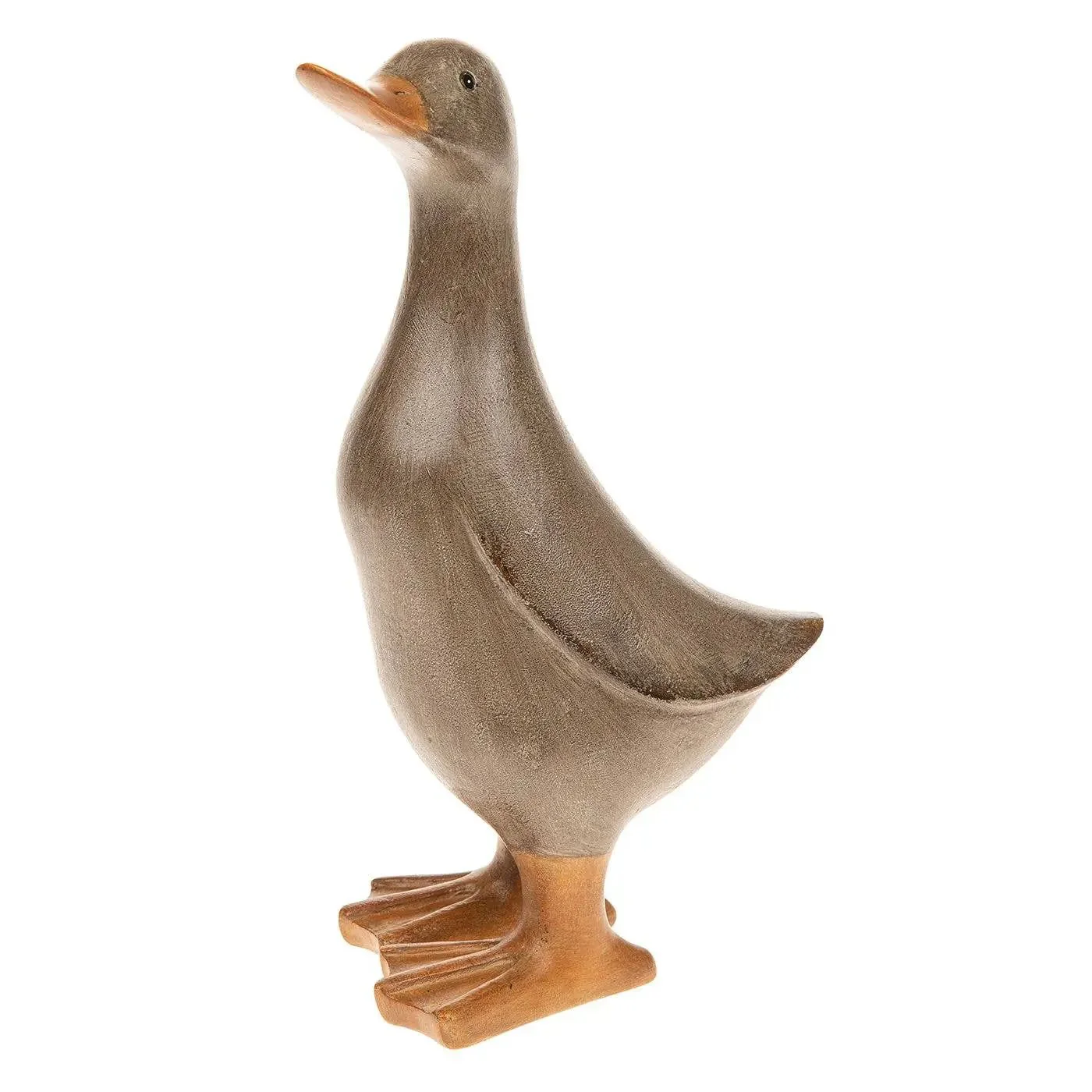 Mocha Duck - Medium