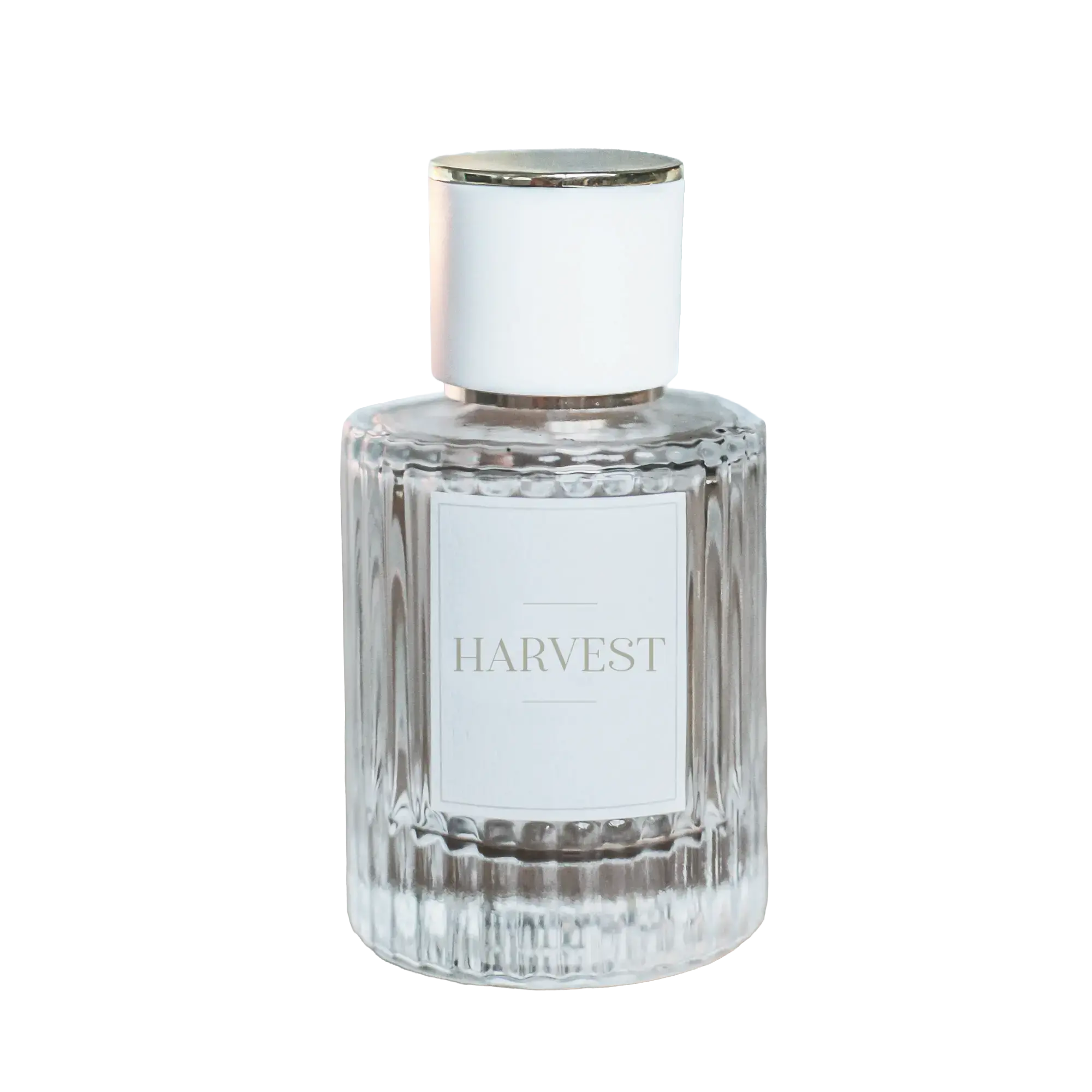 HARVEST | Pumpkin + Pear 50ml Everything Spray - Image 2