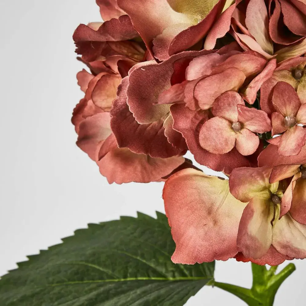 Hydrangea Large Stem with Leaves – 75cm | Rust Pink 2 Pack - Image 2