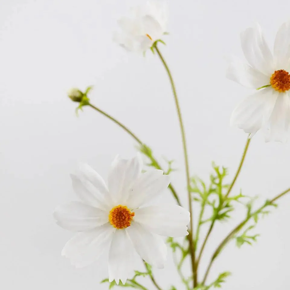 Real Touch White Cosmos Stem - Prestige Range - Image 5