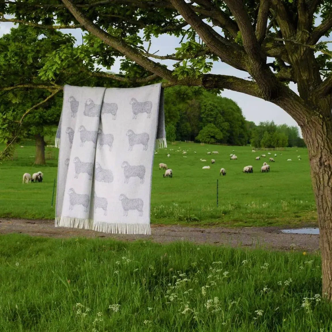 Sheep Soft Grey Pure Wool Throw - Image 8