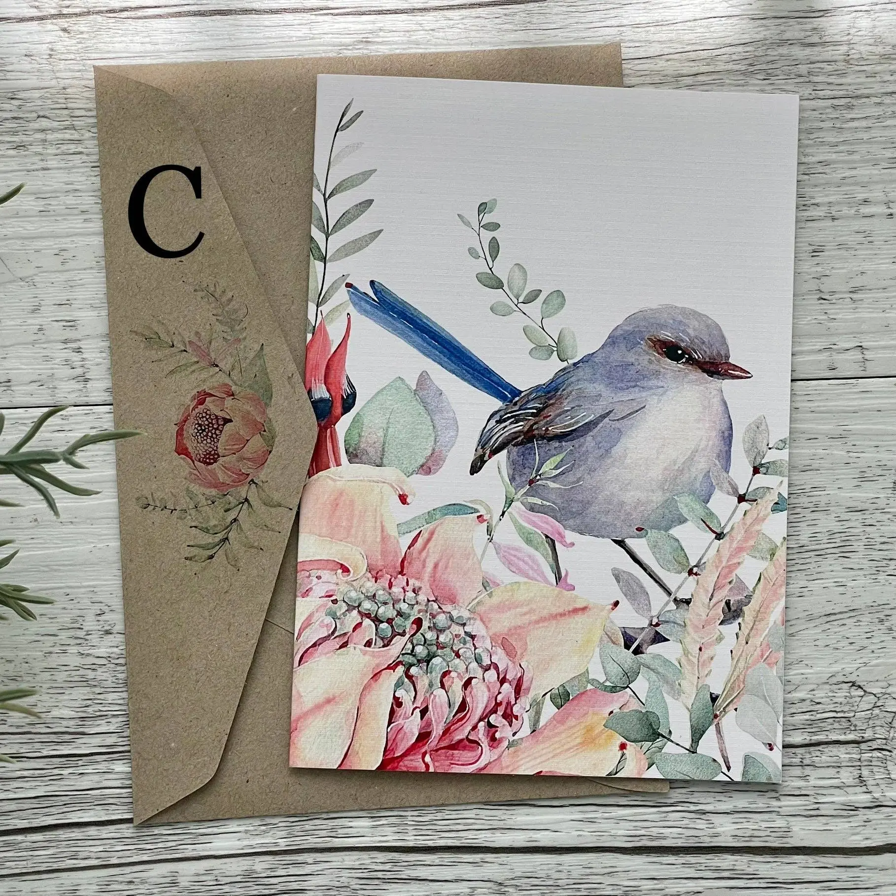 Superb Fairy Wrens – Blank Cards (Set of 4) - Image 6